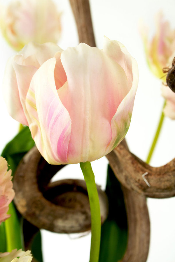 Tulpen in Rocky Vase